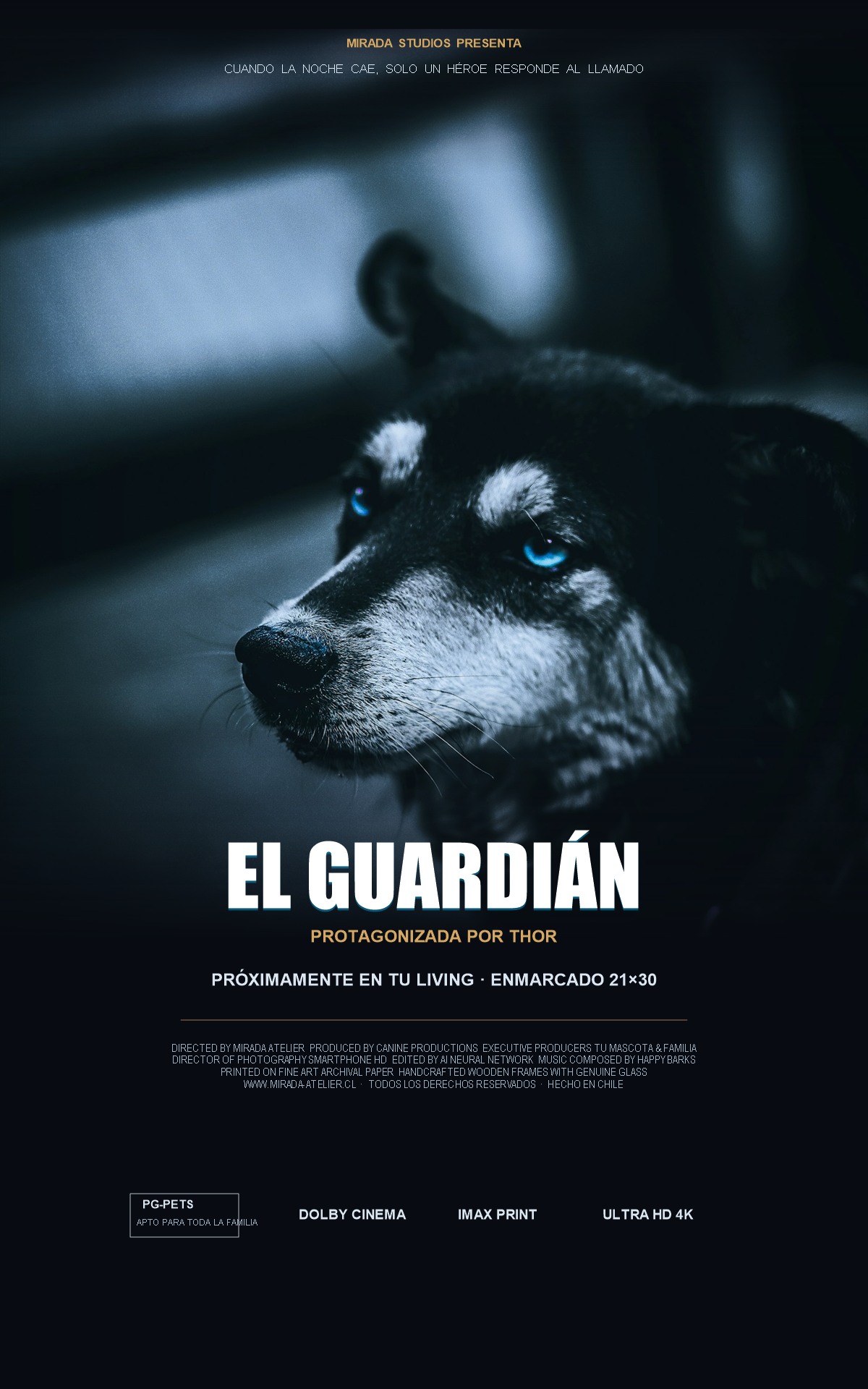 Cuadro Película de Cine Personalizado de tu Mascota